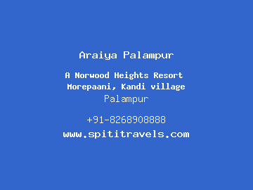 Araiya Palampur, Palampur