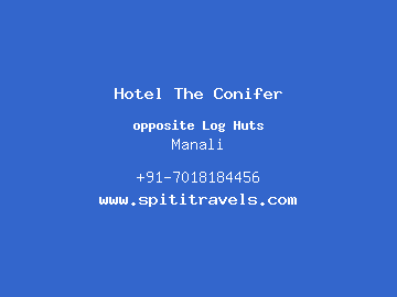 Hotel The Conifer, Manali