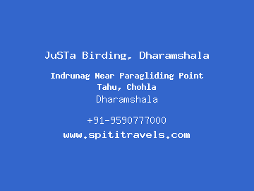 JuSTa Birding, Dharamshala, Dharamshala