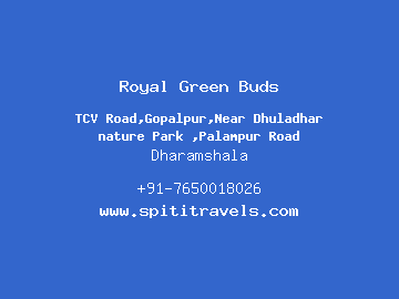 Royal Green Buds, Dharamshala
