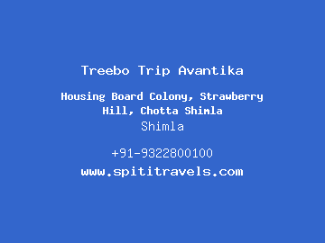 Treebo Trip Avantika, Shimla